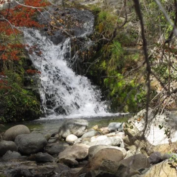 Campo "Las Cascadas" en venta - 376 has. - Cholila - Chubut