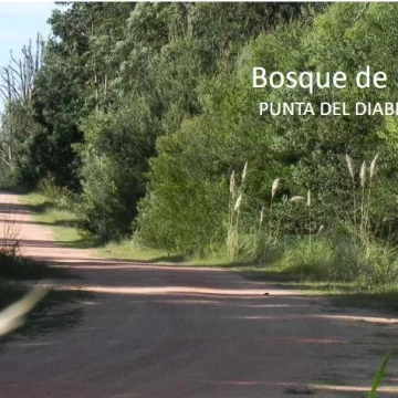 Terreno en  venta Punta del Diablo - Bosque de la Viuda - Financiación