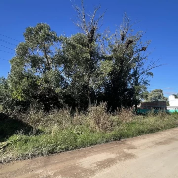 1714155849.jpg