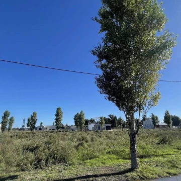 1714155856.jpg