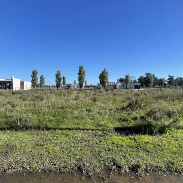 1714155857.jpg