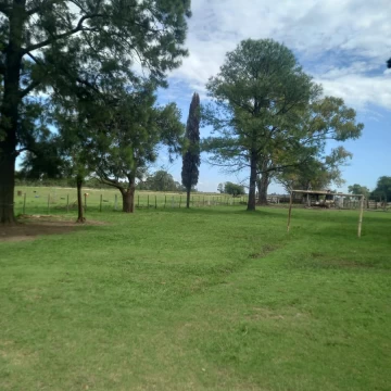VENTA excelente campo de 75 Hectáreas en ubicación privilegiada en CHENAUT