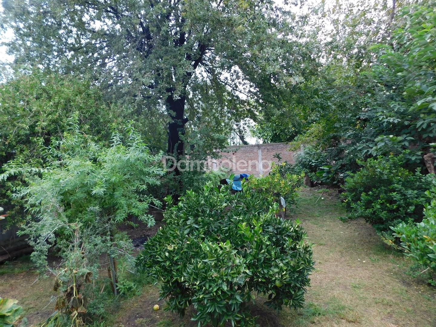 image 18