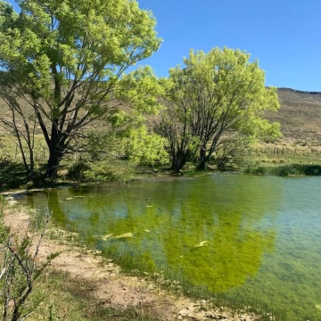 Estancia 7800 ha - Zapala - Neuquen