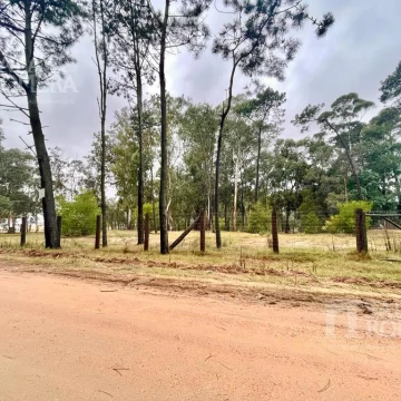 Venta Lote  Apto PH - Zona Comercial  - Punta del Este - REF:4481520