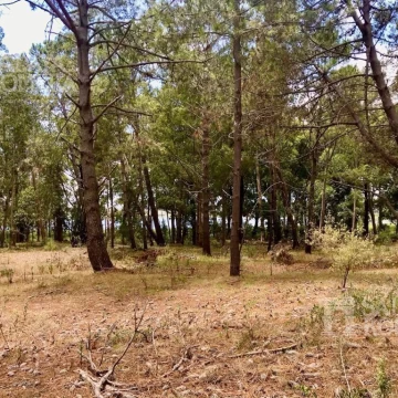 VENTA: LOTE EN  RESERVA DE MONTOYA