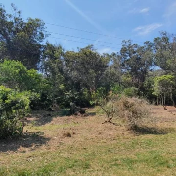 VENTA: TERRENO SANTA MONICA RUTA 10