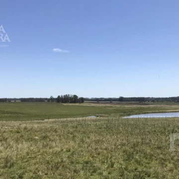 VENTA - Chacra en ruta 104 Maldonado Uruguay SLA5836311