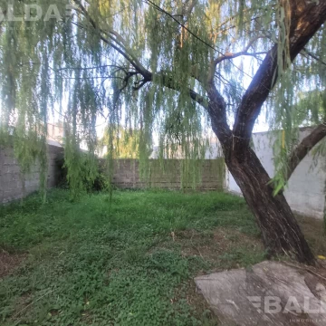1716217575.jpg