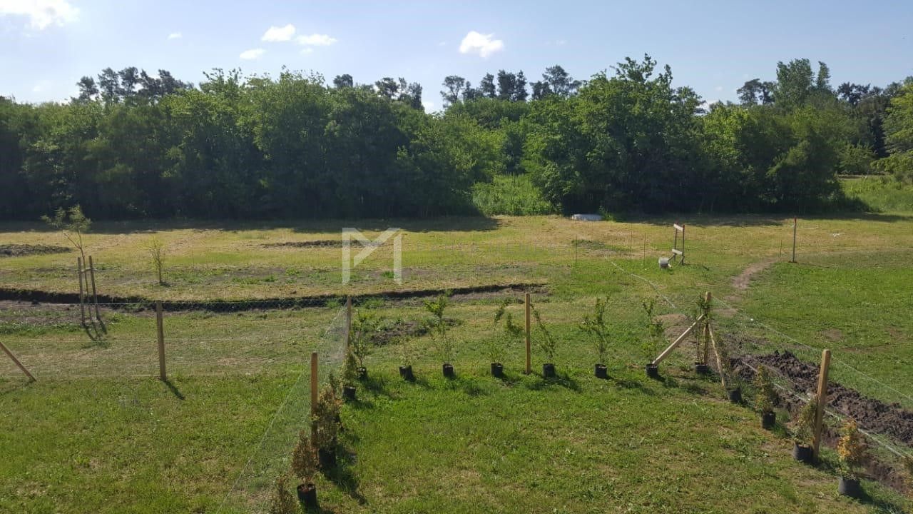 image 14