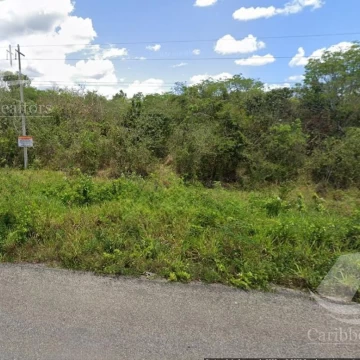 Terreno en Venta  Mahahual