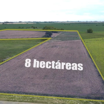 Venta de chacra en Martín Chico, Carmelo, Colonia.
