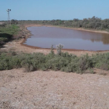 1000 ha en Venta - Herrera - Santiago del Estero