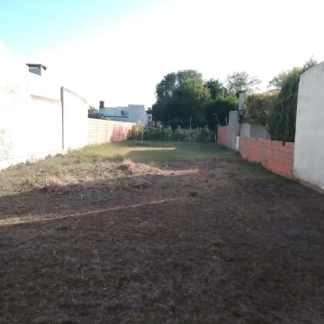 1718377637.jpg