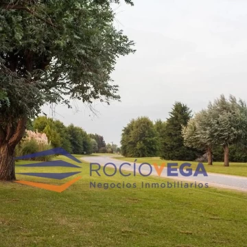 1719498292.jpg