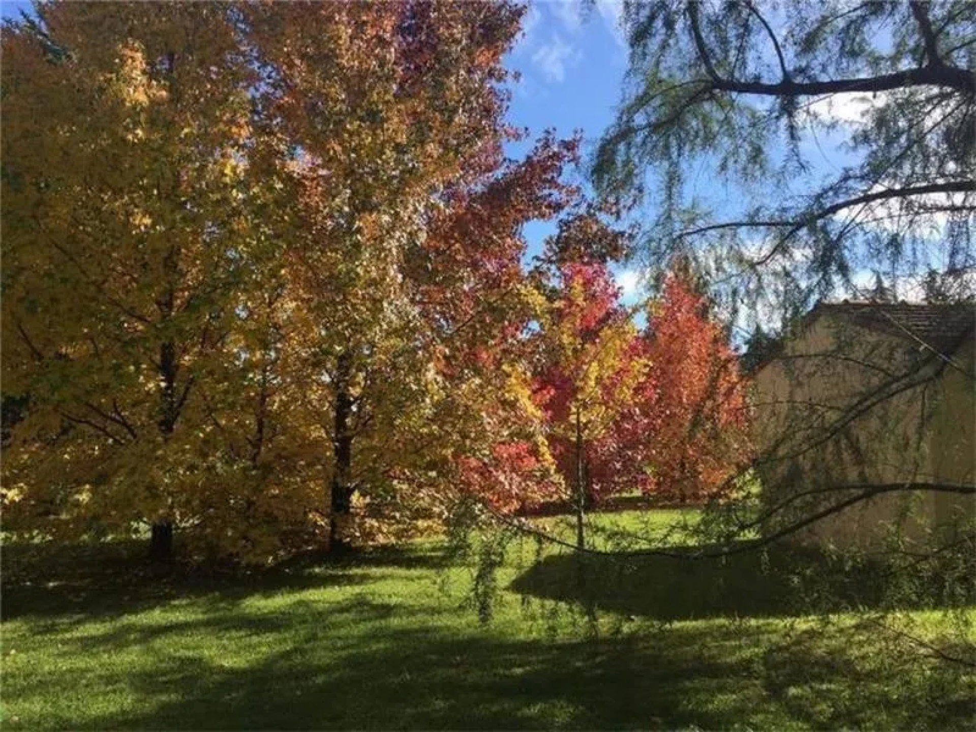 image 14