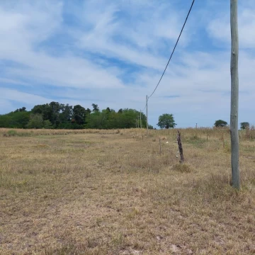 Terreno-CHASCOMUS CALLE PUBLICA N° 84 LEZAMA