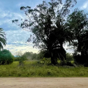 1720200251.jpg