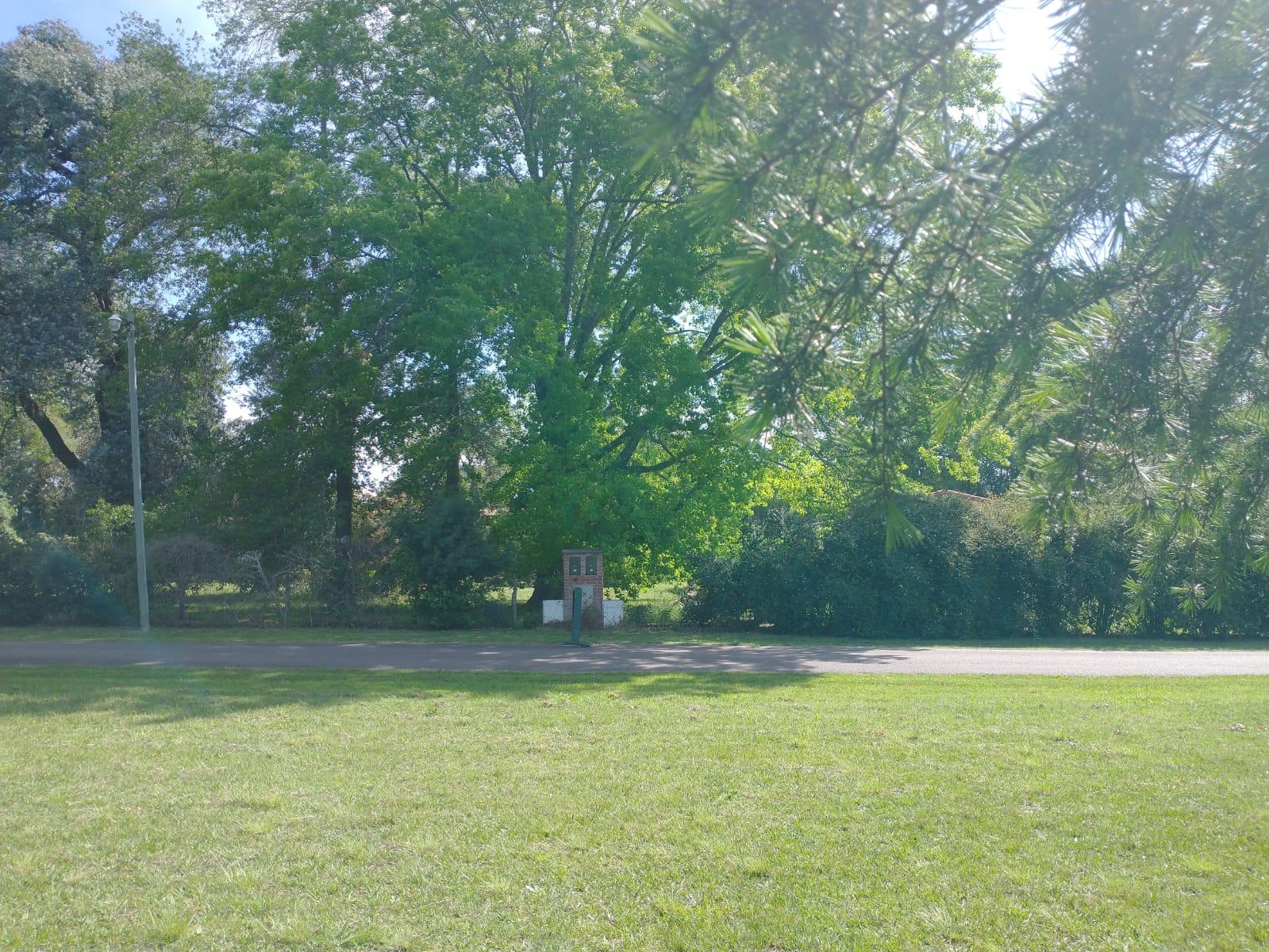 image 17