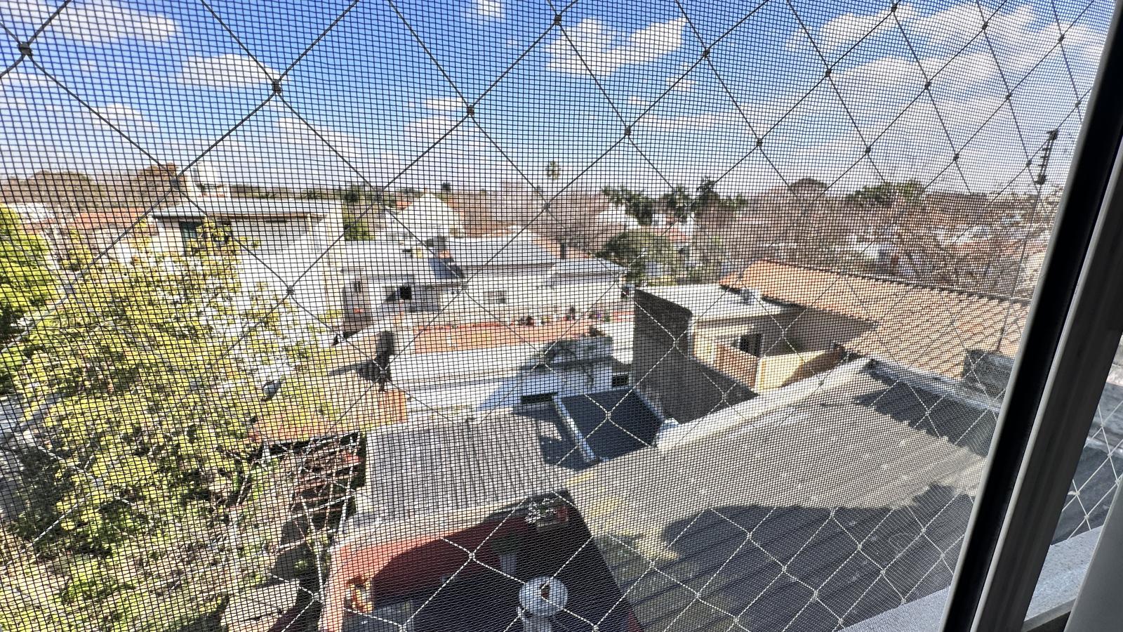 image 81