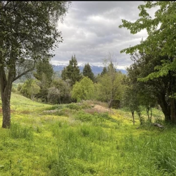VENTA Lote/Terreno 2049,27m2 UF 33 B° Raitrai San Martin de los Andes