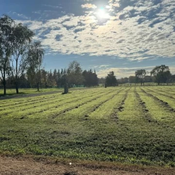 Terreno  en Manzanares listos para escriturar