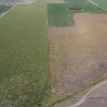 1723140743.jpg