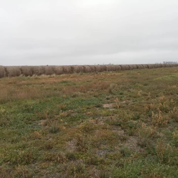 110 Hectaréas en Cordoba - para Siembra - molino con tanque