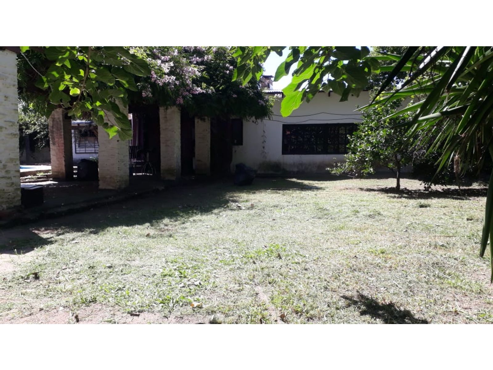 image 13