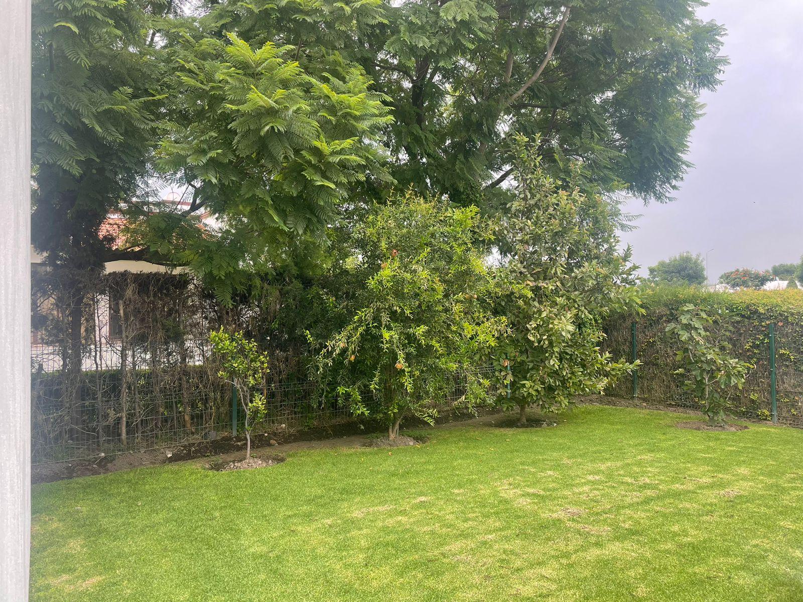 image 31