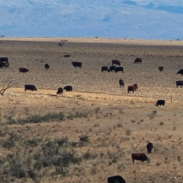 Venta de 5860 ha en La Toma San Luis