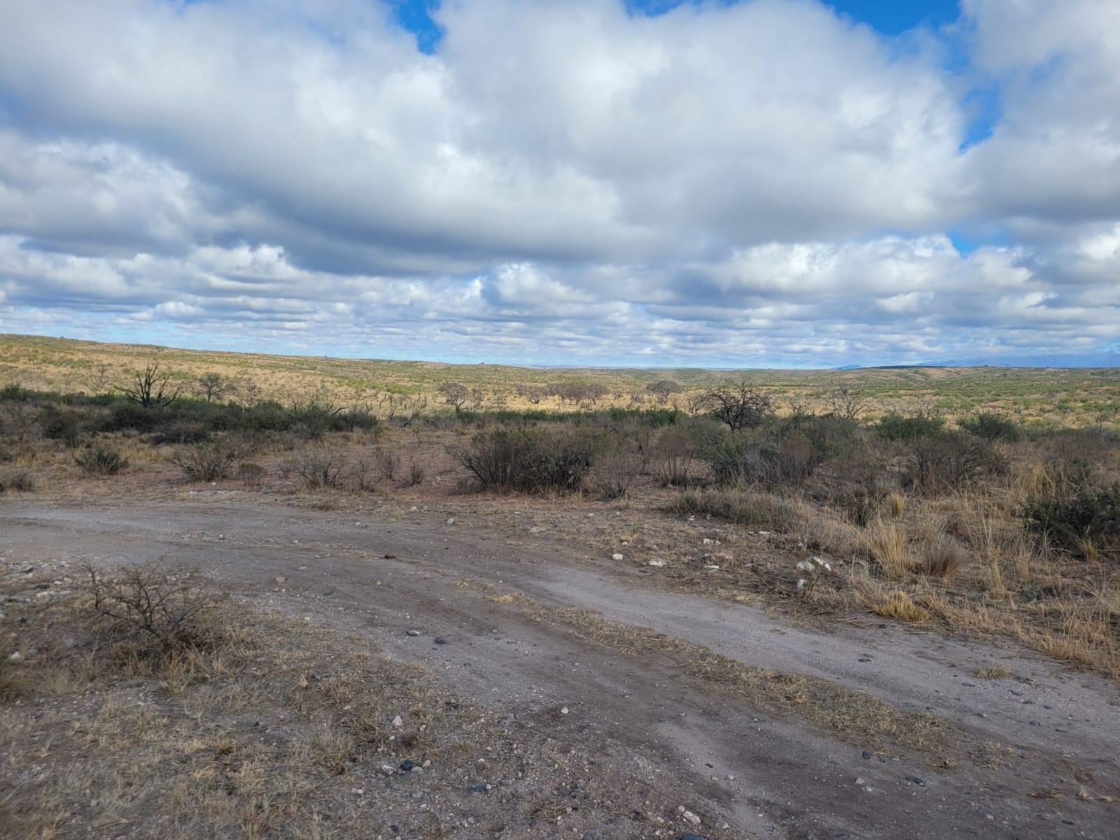 image 68
