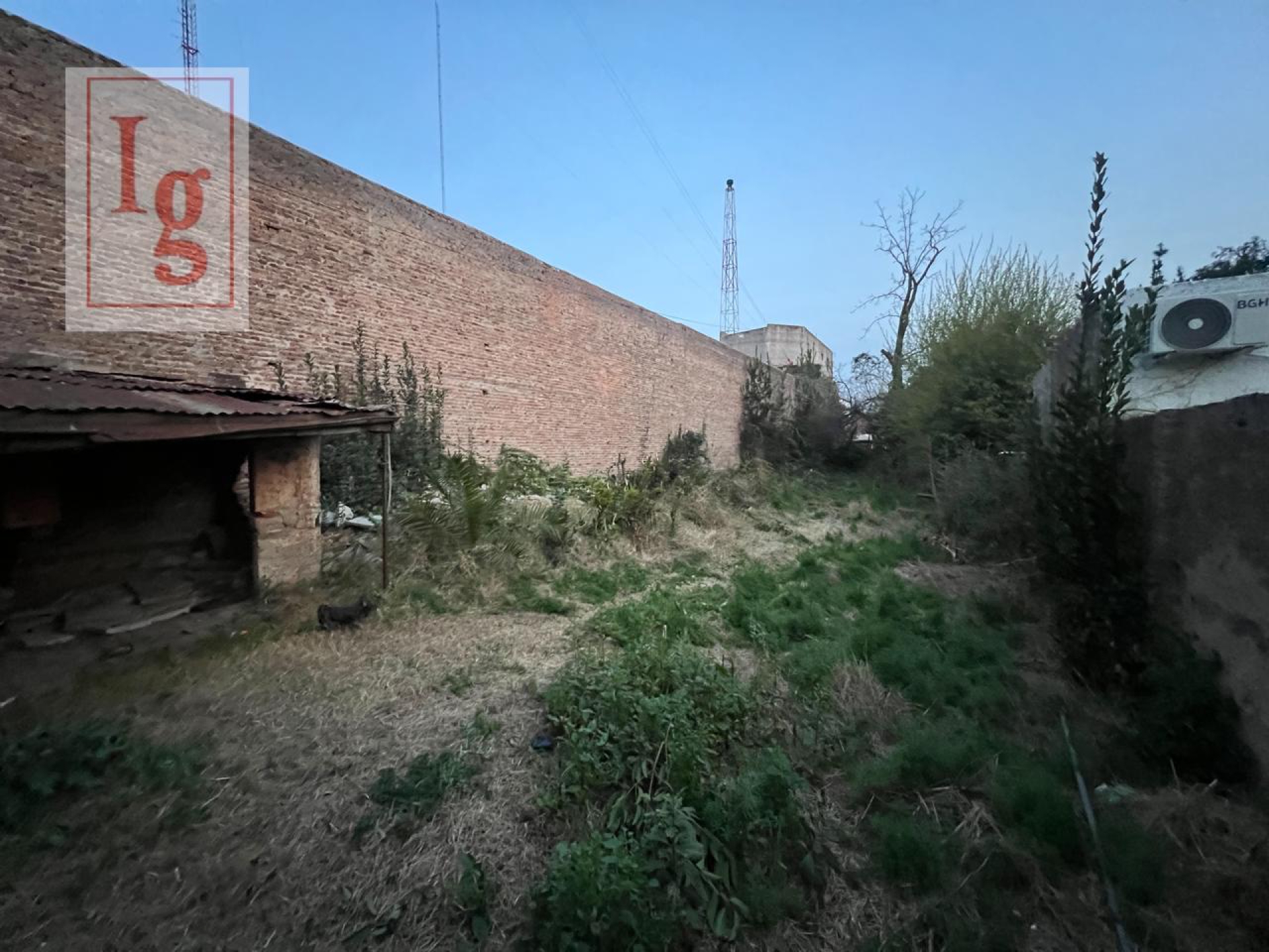 image 36
