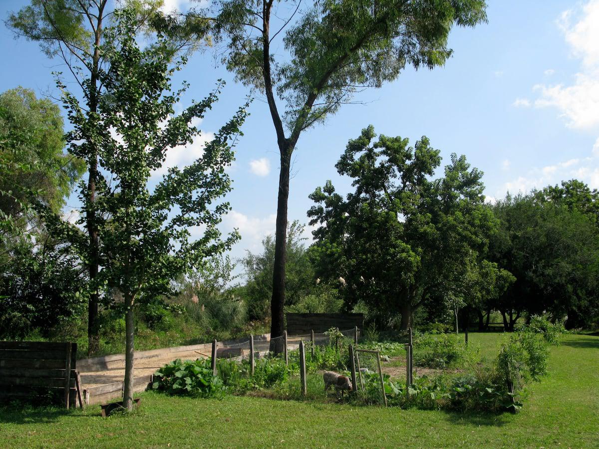 image 23