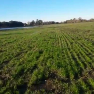  Venta 57,430 hectáreas - Gral Rodriguez - Ruta 28