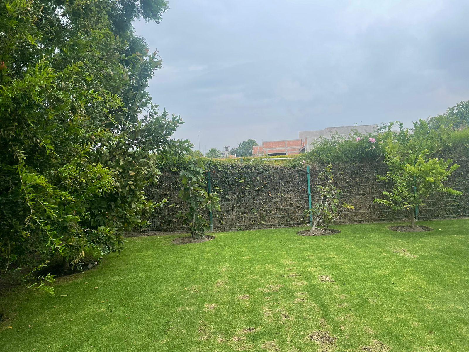 image 25