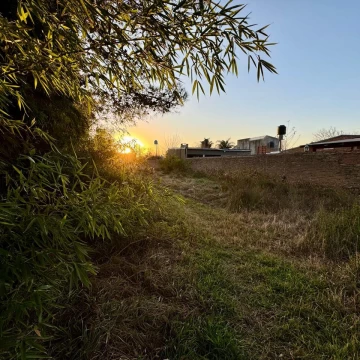 Ibarlucea y Santa Teresa - Terreno en venta - Andino