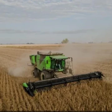 1500 ha - 100% agricola - Bandera - Sgo del Estero