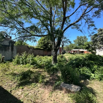 VENDE amplio lote ubicado en General Rojo.