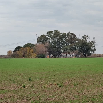 VENDE/PERMUTA campo de 12.5 Hectáreas ubicado frente a floresta, antes de la curva de la Emilia.