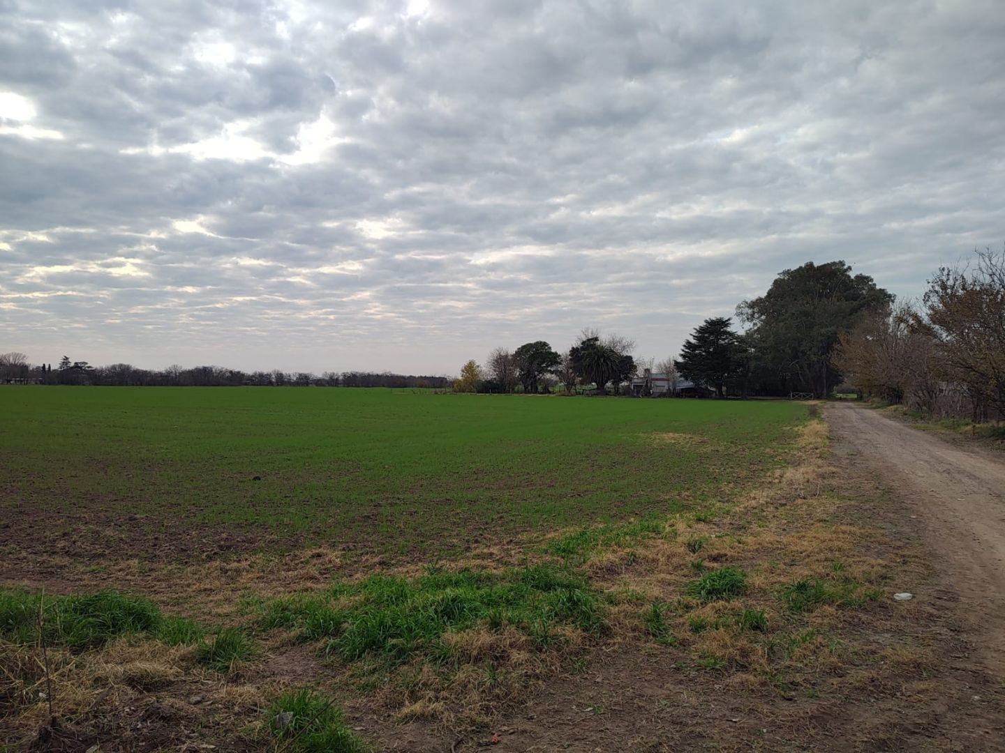 image 14