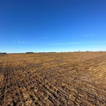 VENDE campo de 17 hectáreas agrícolas ubicado en zona Campo Salles.