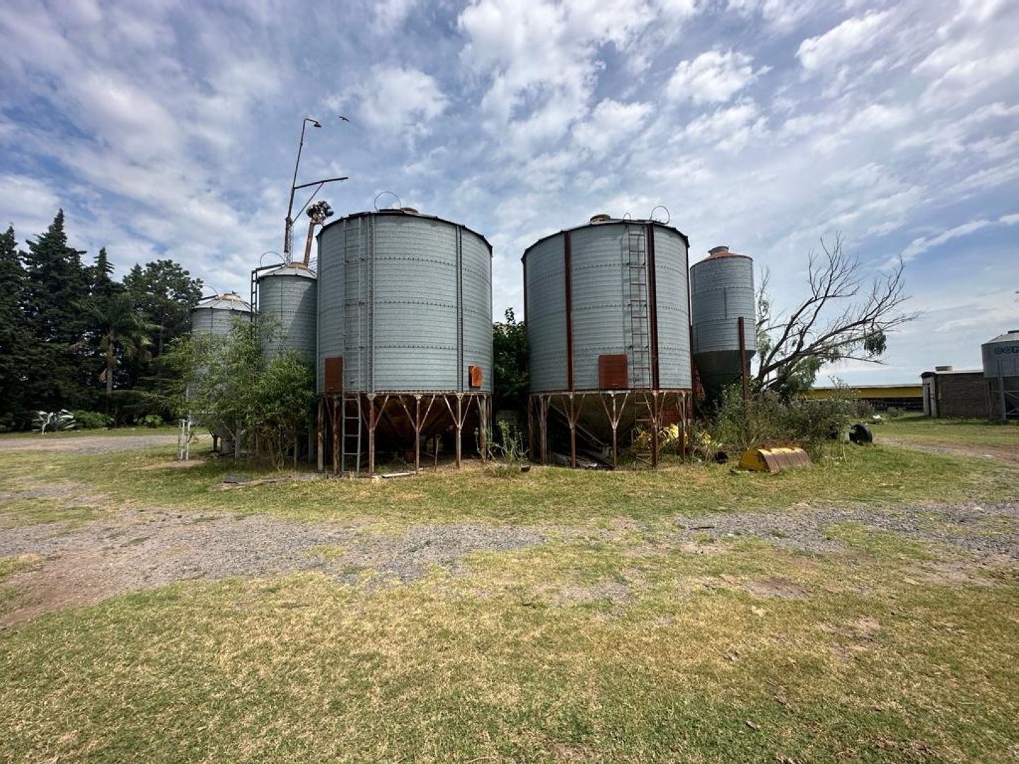 image 12