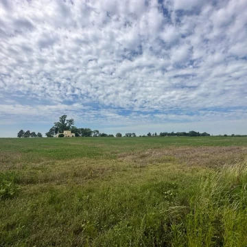 VENDE campo agrícola de 23.6 Hectáreas a metros de autopista Rosario Buenos Aires.