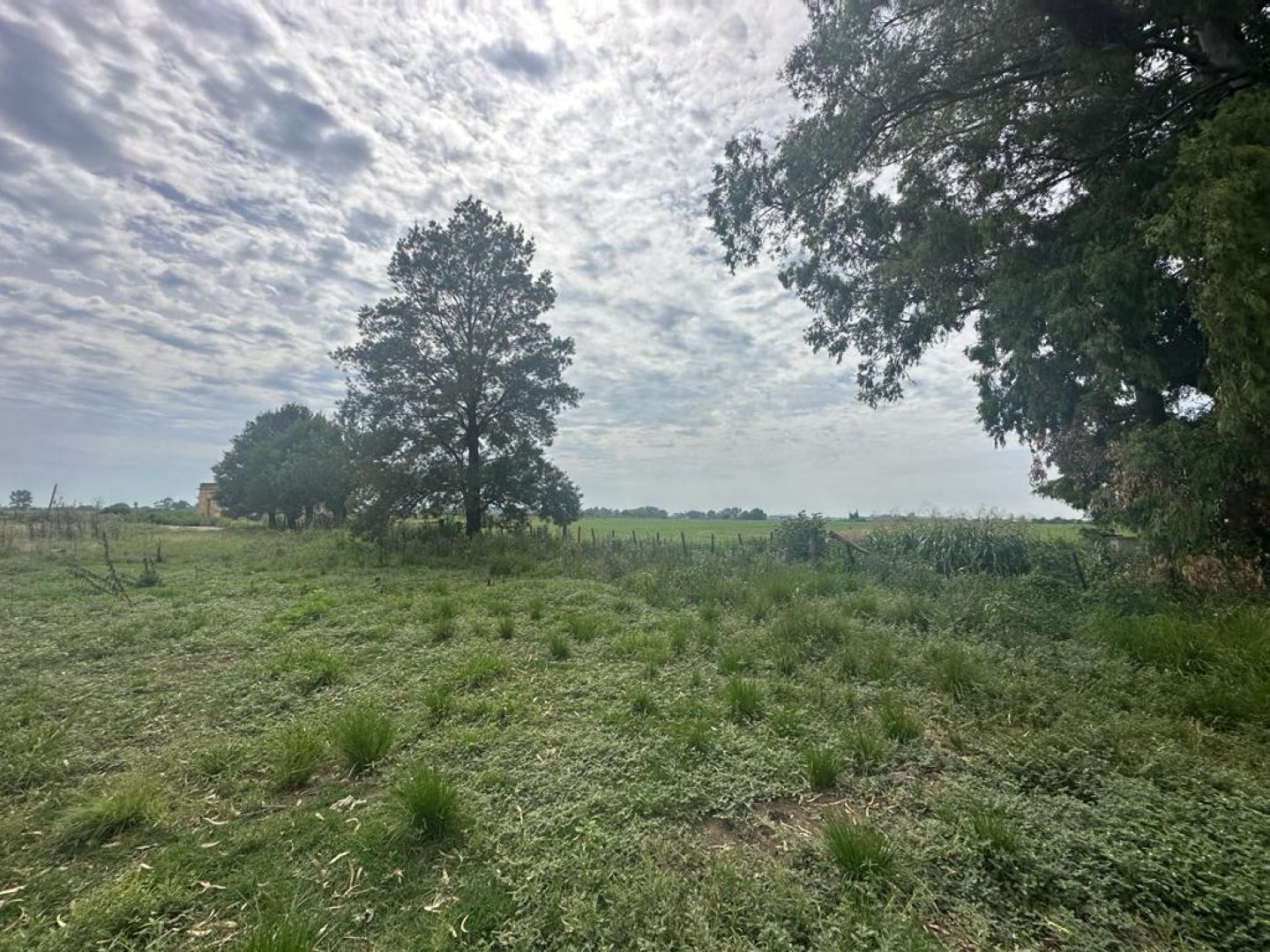 image 14