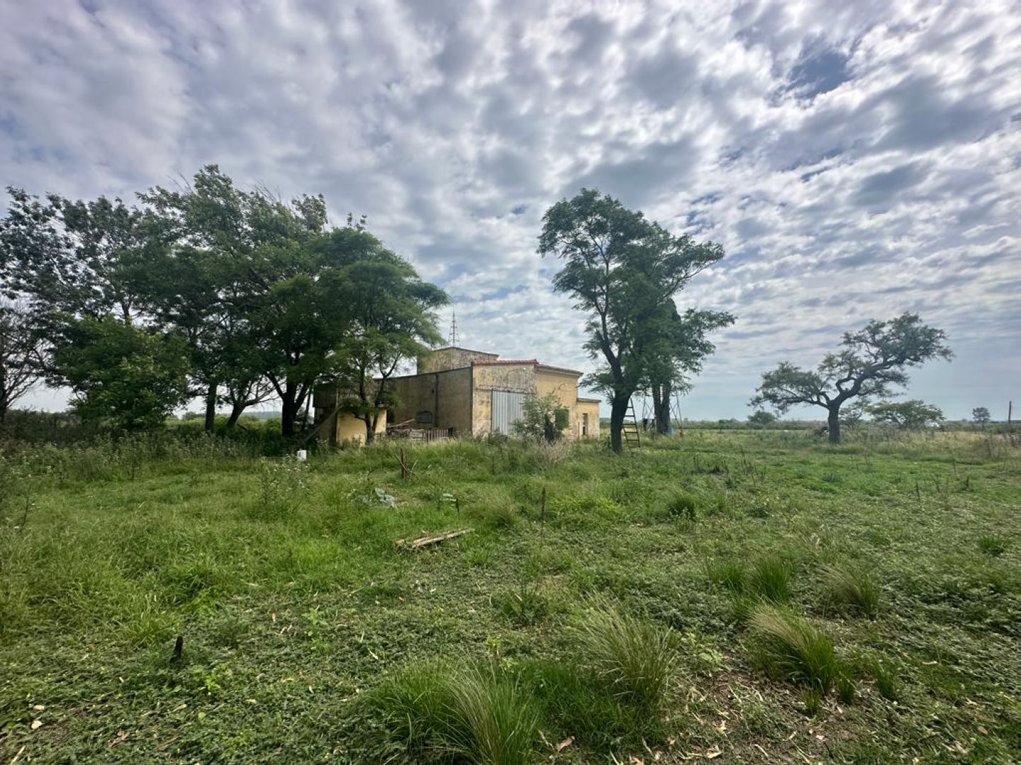image 15