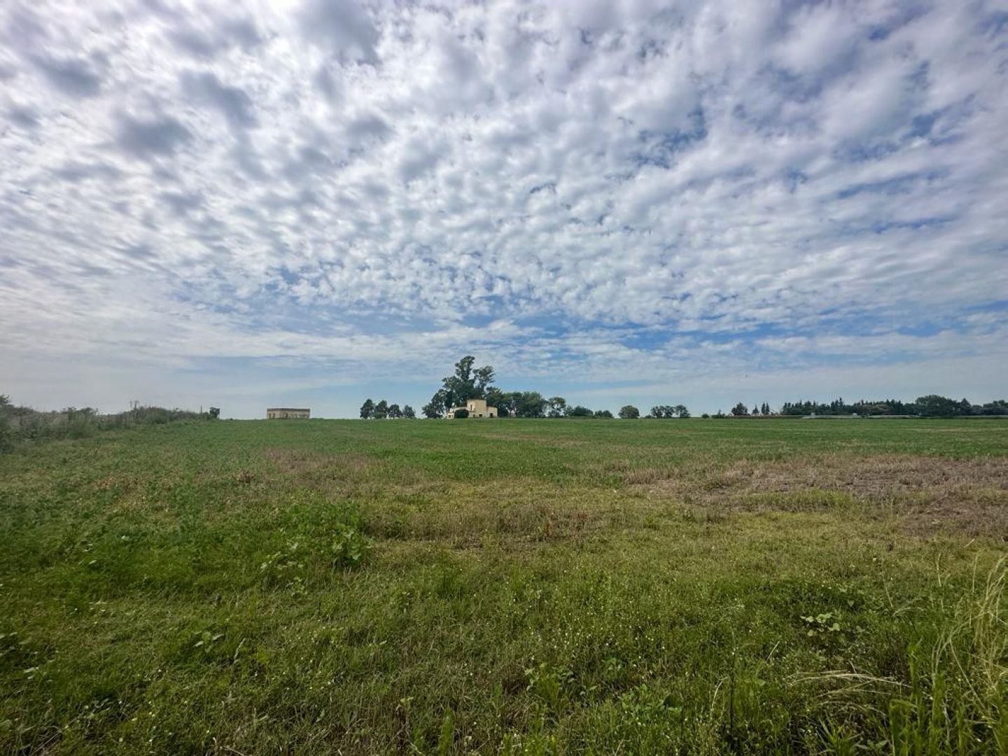 image 16