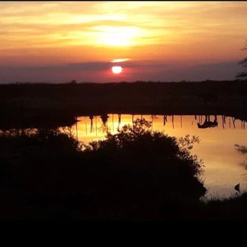2500 ha - A tranquera cerrada -Malbran - Santiago del Estero