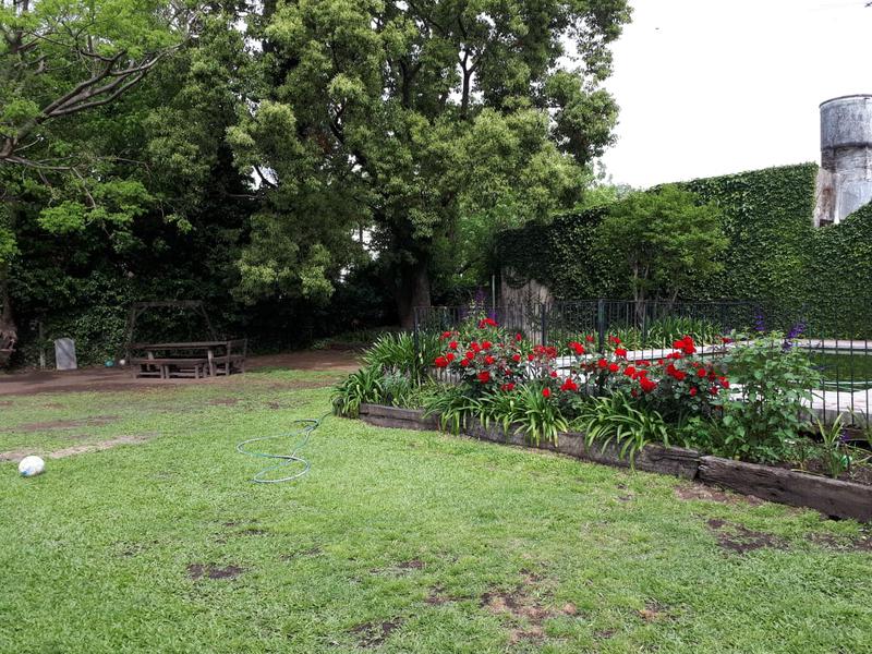 image 16