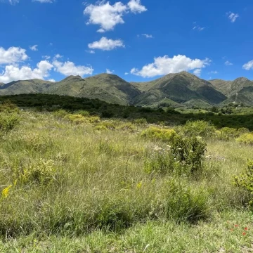 Finca 7,3 Has. En Venta En Cruz Grande Ideal Granja Ecoturismo